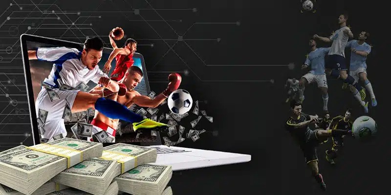 Hướng Dẫn Chơi PANDA KUBET Dễ Hiểu Cho Tân Binh Mới 2024